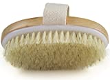 dry body brush